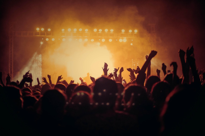 crowd waving flag concert
